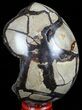 Septarian Dragon Egg Geode - Black Crystals #57429-2